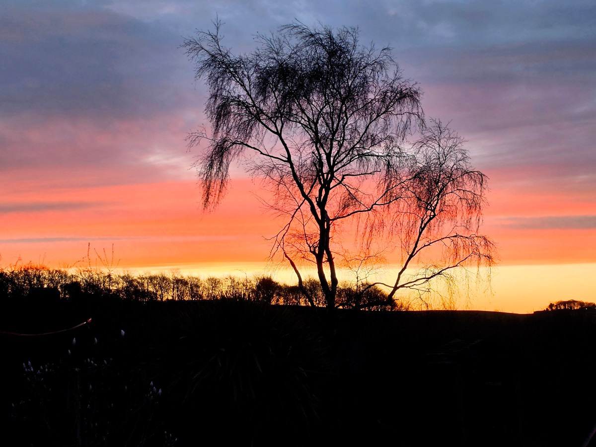 The Beautiful, Exhausting Chaos of a Full&nbsp;House